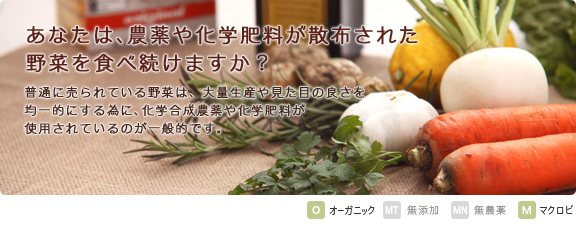 農薬のついた野菜を食べていませんか？有機栽培で育てられた有機JASオーガニック野菜のセットです。（旬の野菜や食材を選んでお届け） 